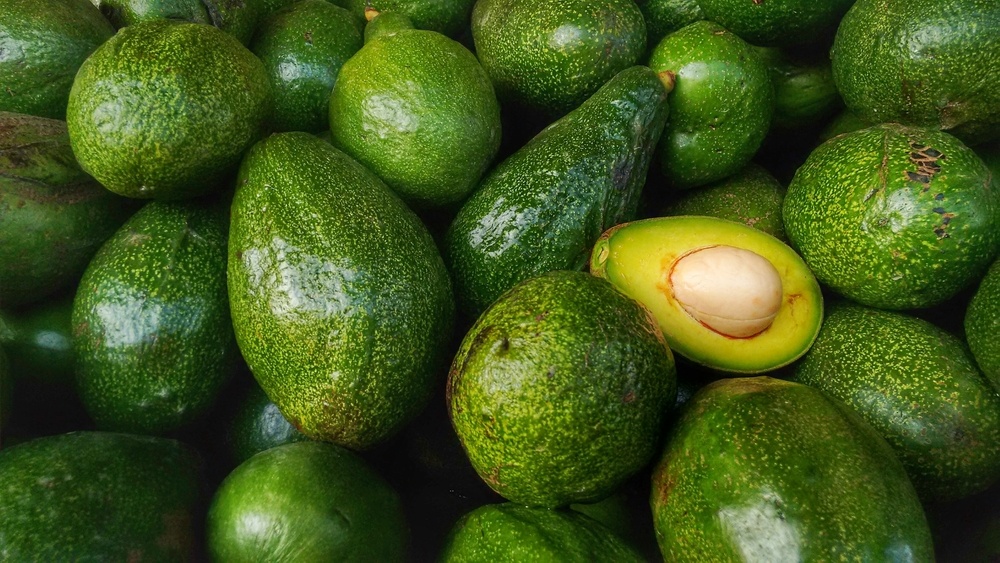 benefícios do abacate