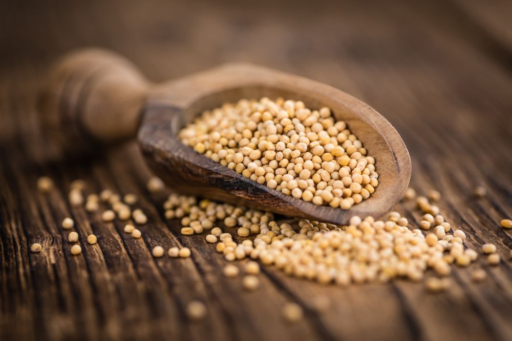 Benefícios da semente de mostarda