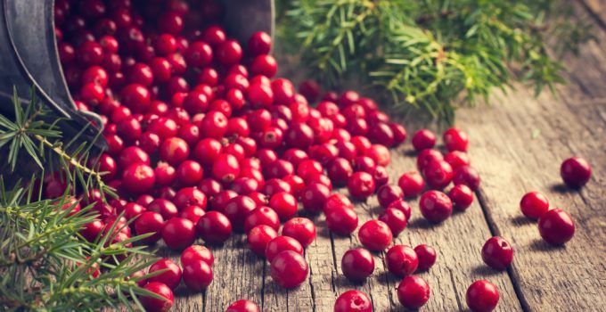 Benefícios do Cranberry para a saúde