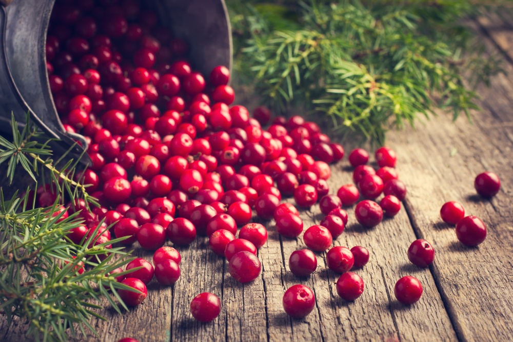 Benefícios do Cranberry para a saúde